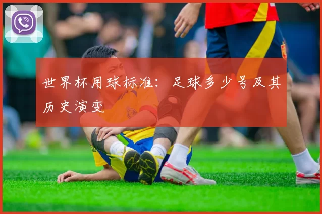 世界杯用球标准:足球多少号及其历史演变