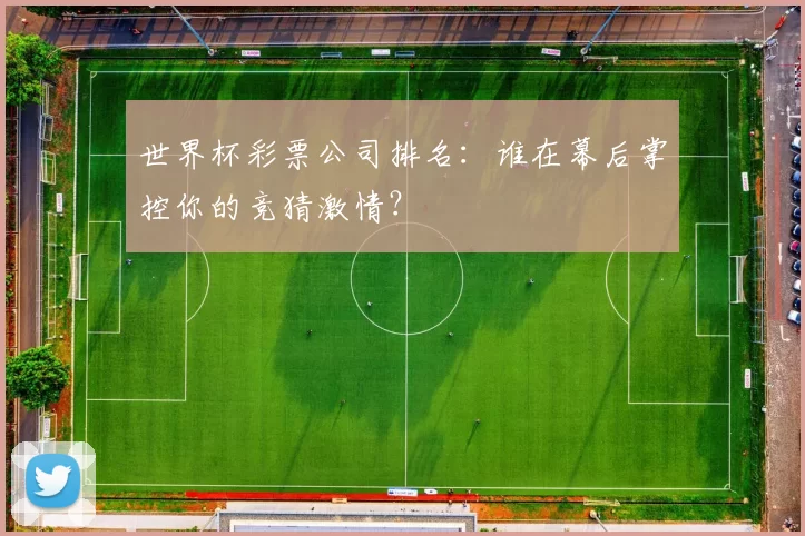 世界杯彩票公司排名：谁在幕后掌控你的竞猜激情？