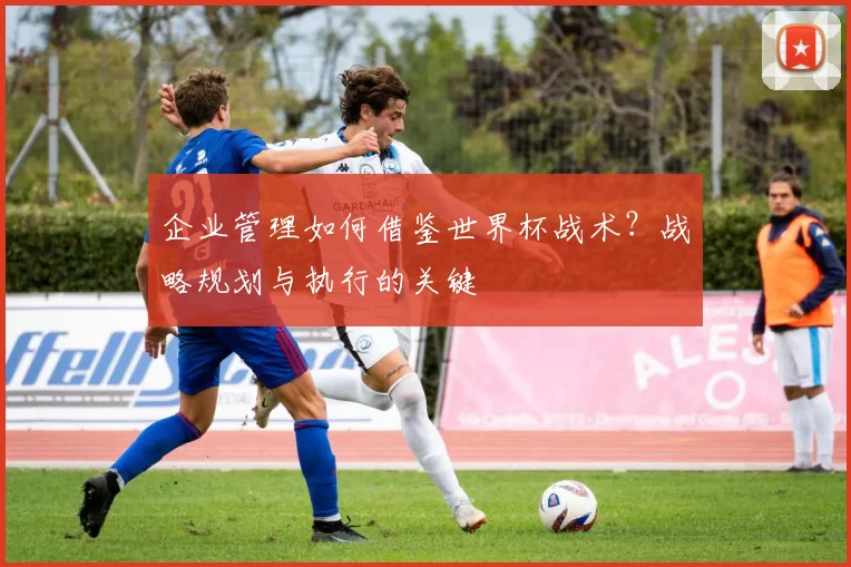 企业管理如何借鉴世界杯战术？战略规划与执行的关键