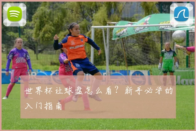 世界杯让球盘怎么看?新手必学的入门指南