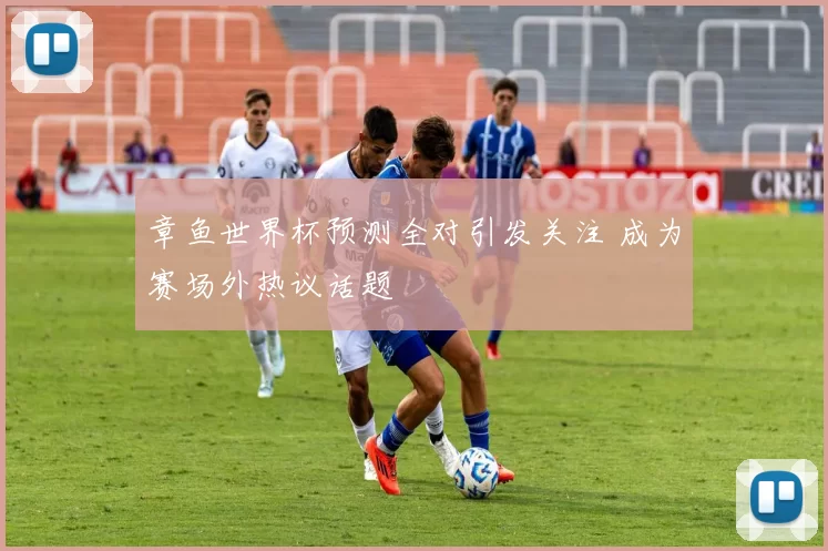 章鱼世界杯预测全对引发关注 成为赛场外热议话题