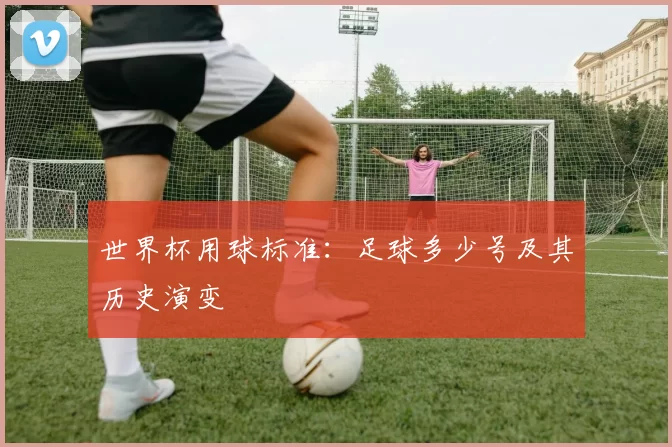 世界杯用球标准:足球多少号及其历史演变