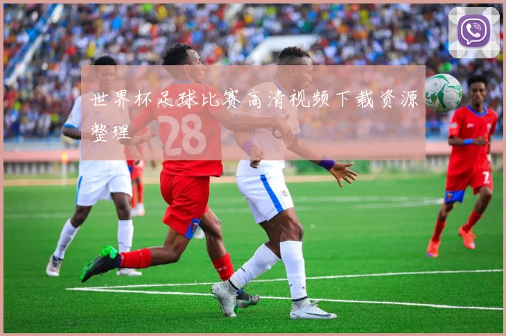 世界杯足球比赛高清视频下载资源整理