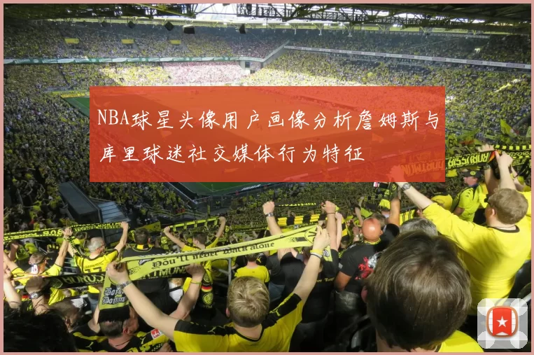 NBA球星头像用户画像分析詹姆斯与库里球迷社交媒体行为特征