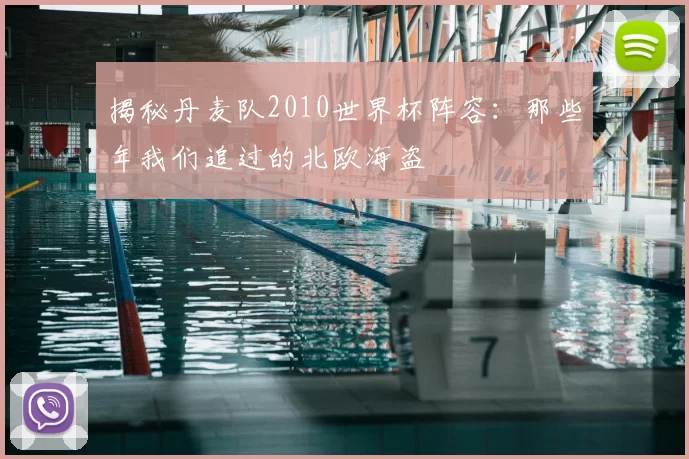 揭秘丹麦队2010世界杯阵容:那些年我们追过的北欧海盗