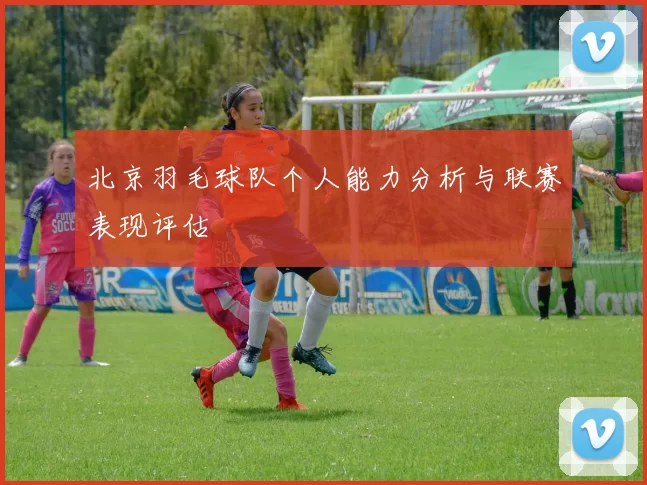北京羽毛球队个人能力分析与联赛表现评估