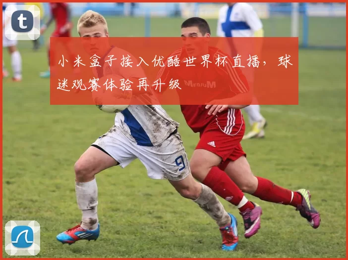 小米盒子接入优酷世界杯直播，球迷观赛体验再升级