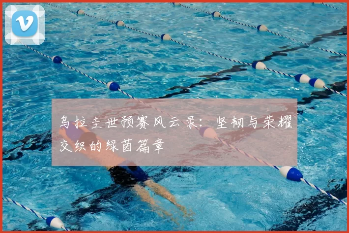乌拉圭世预赛风云录:坚韧与荣耀交织的绿茵篇章