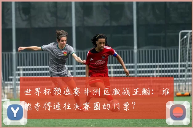 世界杯预选赛非洲区激战正酣:谁能夺得通往决赛圈的门票?