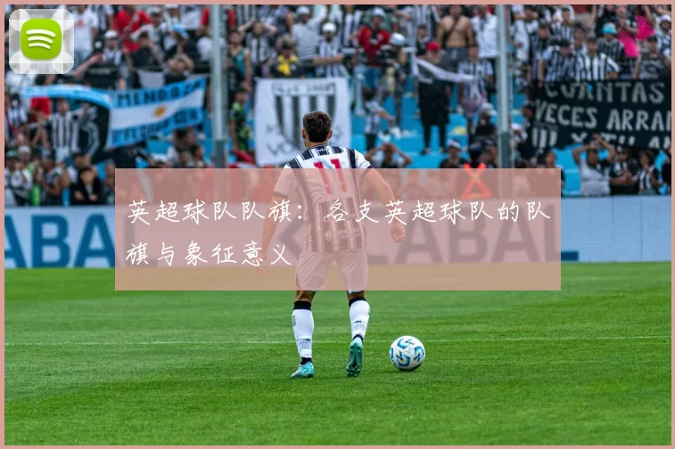 英超球队队旗：各支英超球队的队旗与象征意义