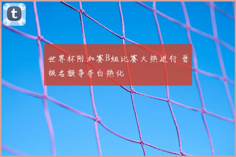 世界杯附加赛B组比赛火热进行 晋级名额争夺白热化