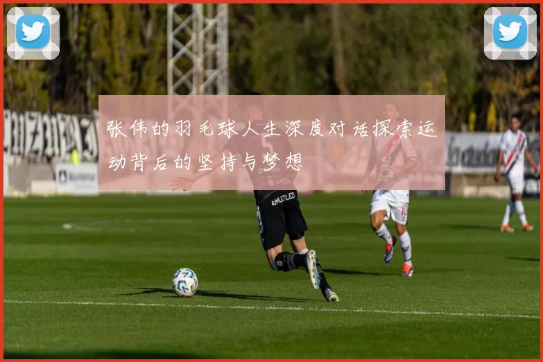 张伟的羽毛球人生深度对话探索运动背后的坚持与梦想