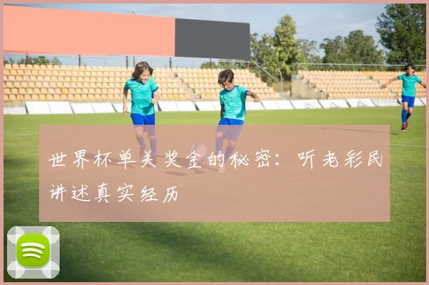 世界杯单关奖金的秘密:听老彩民讲述真实经历