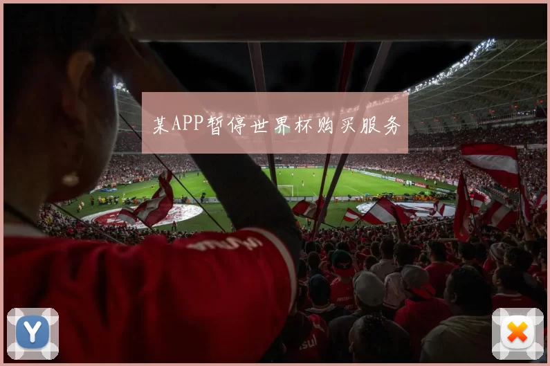 某APP暂停世界杯购买服务