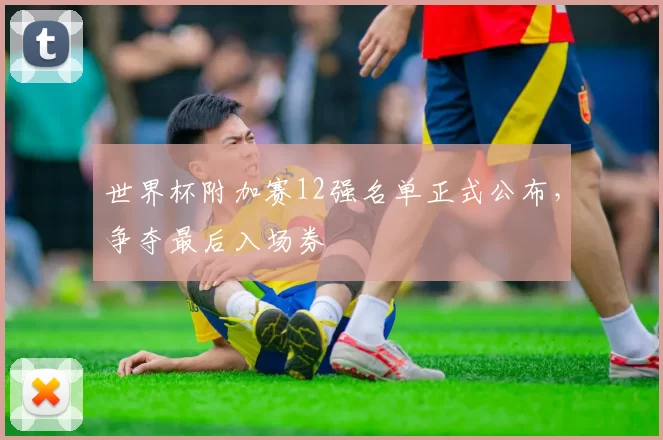 世界杯附加赛12强名单正式公布，争夺最后入场券